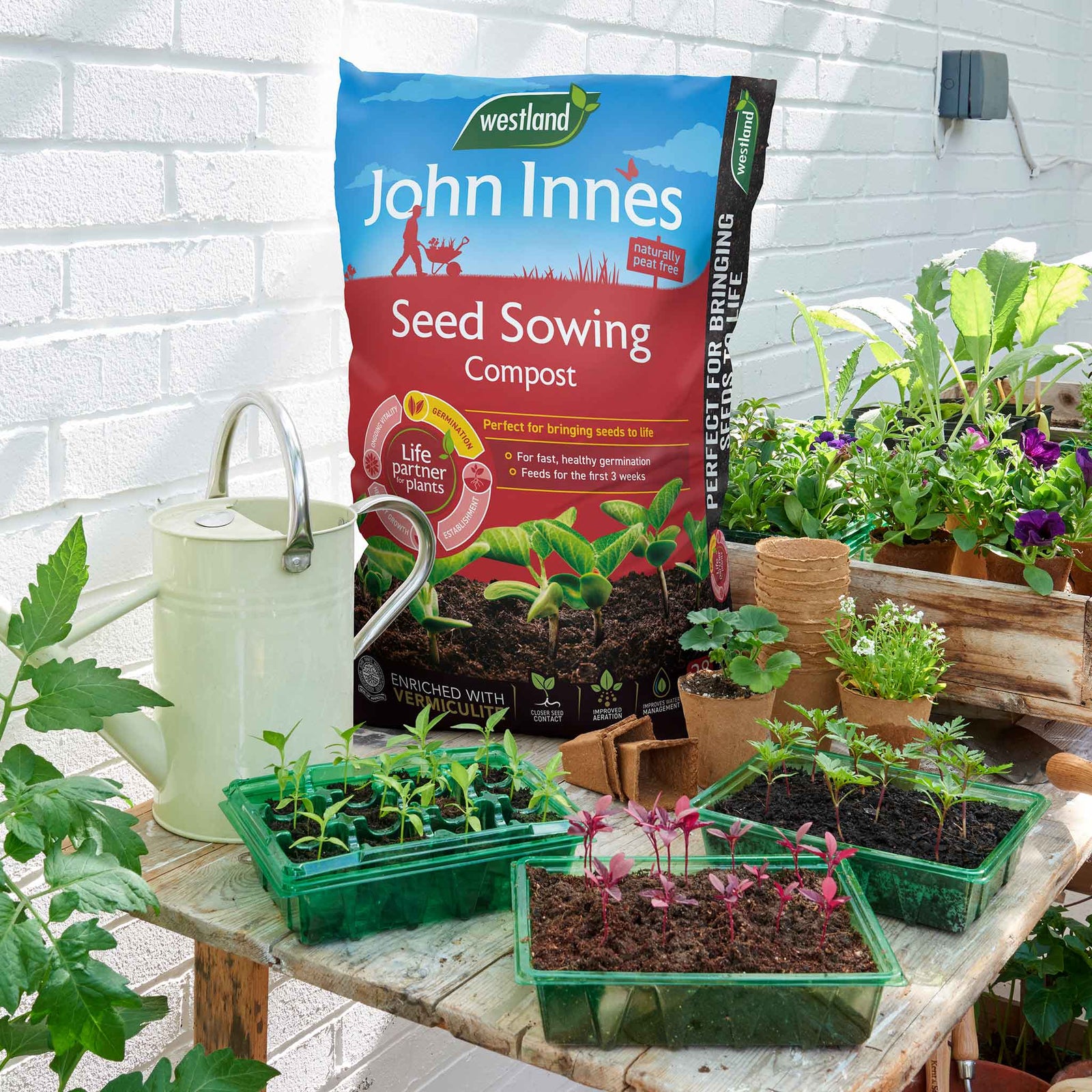 John Innes Peat-free Seed Sowing Compost | Pair