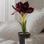 Faux Amaryllis In Pot, 36cm | Red