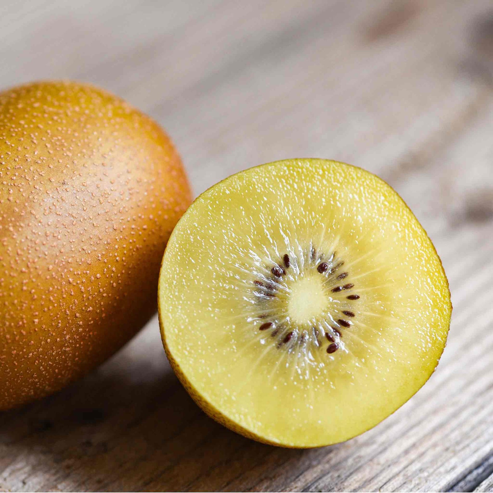 Golden Kiwi Plant (actinidia Chinensis) | 1 x 2L | Gold