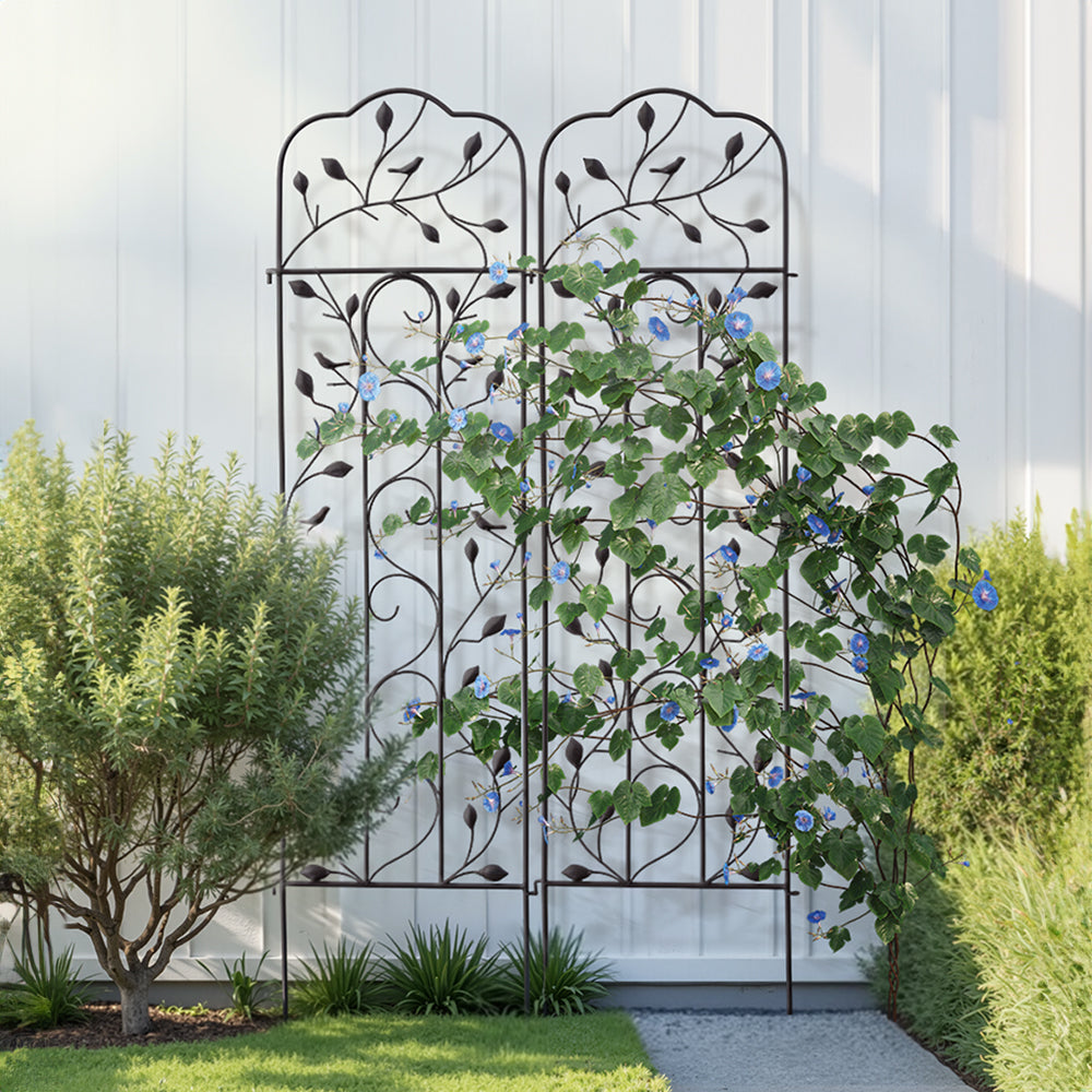 2 Pack Of Metal Garden Trellis Potted Climbing Plants Rack