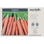 Ibiza Carrot | 500 Seeds