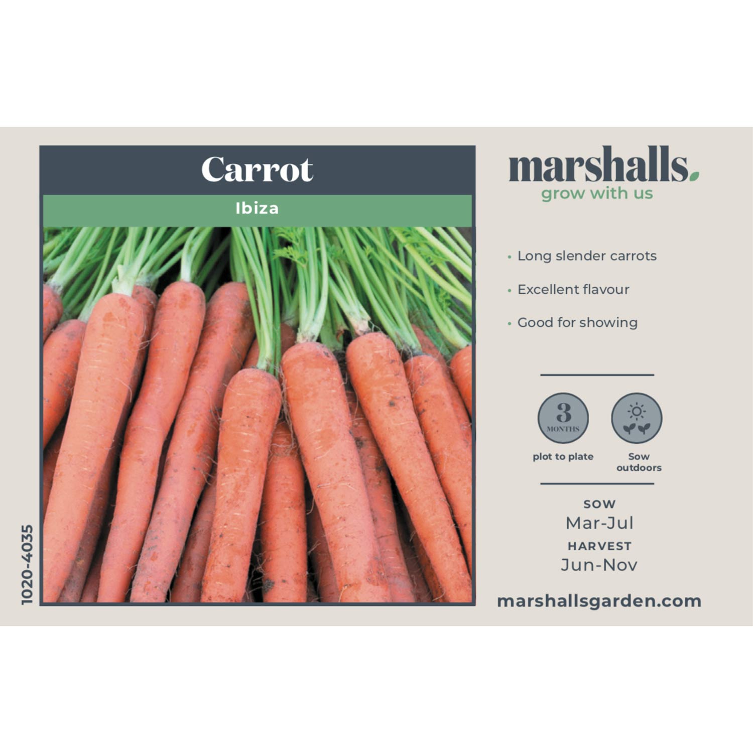 Ibiza Carrot | 500 Seeds