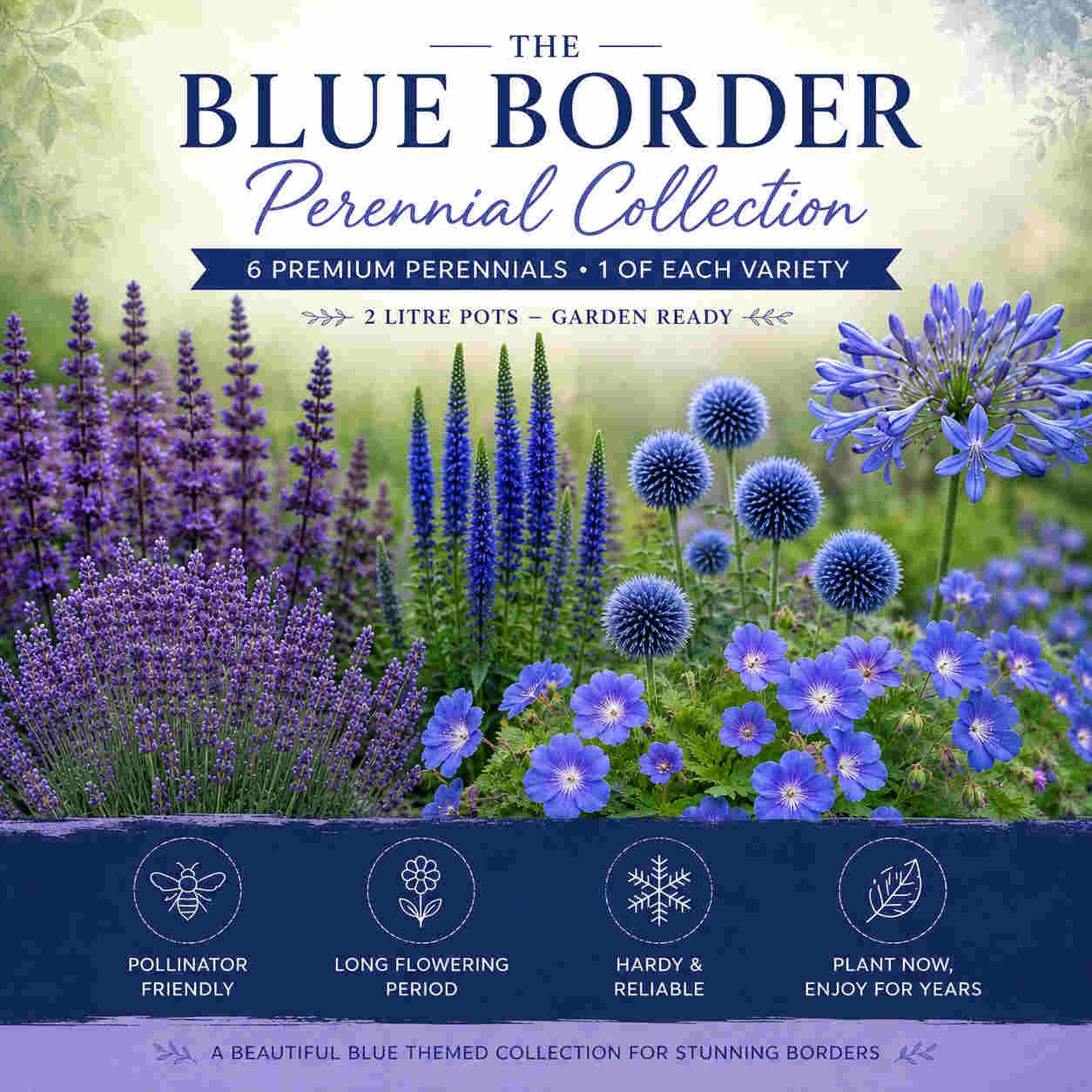 The Blue Border Perennial Collection - 2l Garden Ready Pots. | Set of 18 | Blue