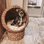 Wicker Cat House, Raised Cat Bed With Cushion, 40 X 37 X 51cm/50 X 42 X 60 Cm | Small | Brown