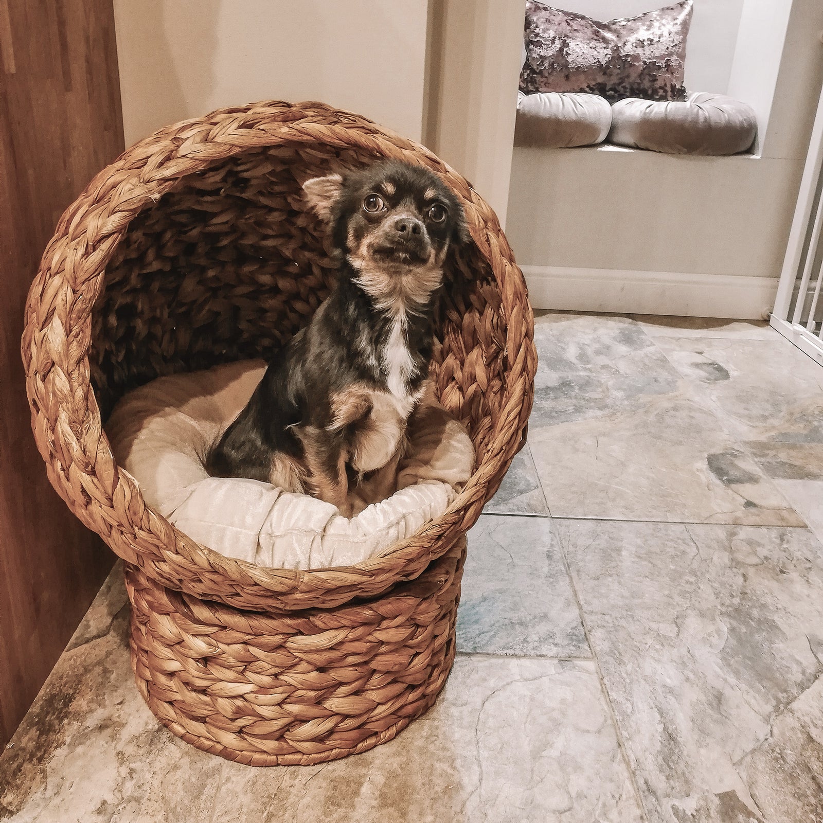 Wicker Cat House, Raised Cat Bed With Cushion, 40 X 37 X 51cm/50 X 42 X 60 Cm | Small | Brown