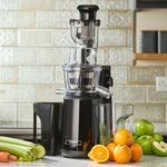 Slow Masticating Juicer