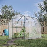Transparent Polytunnel Greenhouse 2.5x2x2m