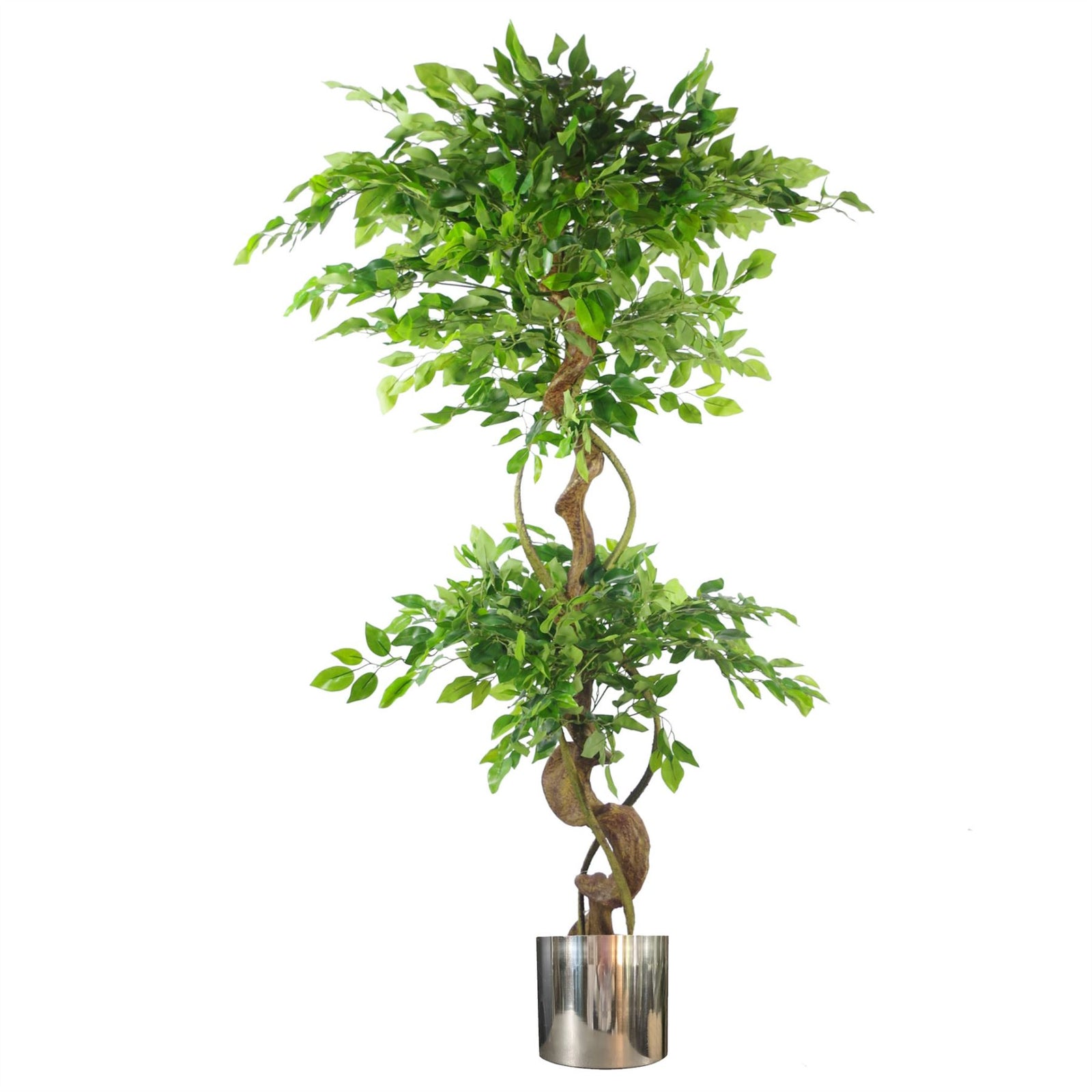 Artificial 150cm Twisted Trunk Fruticosa Ficus Tree Silver Planter