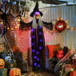 Voice Activated Halloween Animatronics Witch, Battery Operated