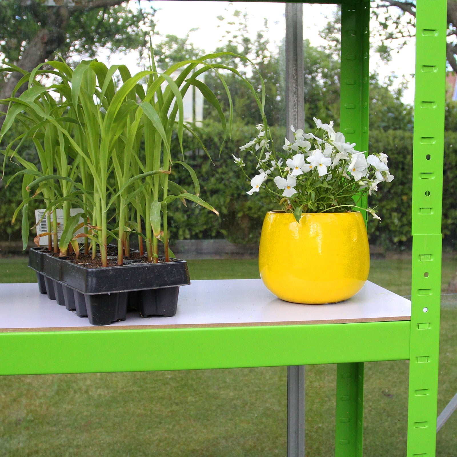 Polytunnel With Racking | 19mm 2.5m x 2m | Green