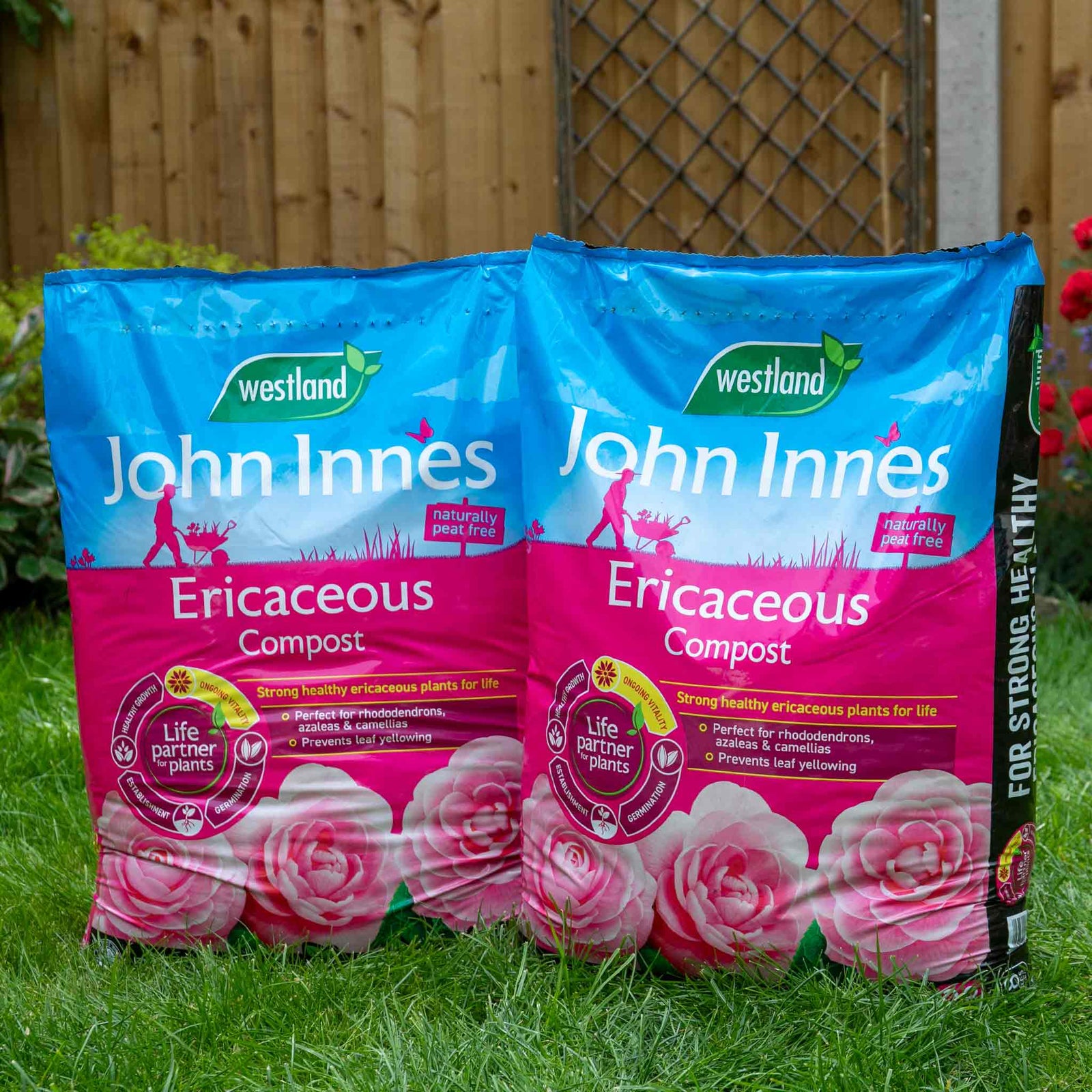 John Innes Peat-free Ericaceous Compost | 28l