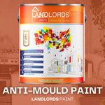 Landlords Paint Anti-mould Paint - Prevents Mould On Interior Walls & Ceilings