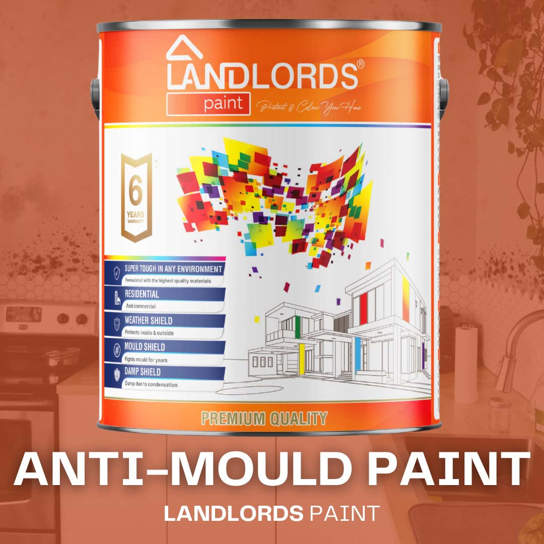 Landlords Paint Anti-mould Paint - Prevents Mould On Interior Walls & Ceilings