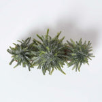 HOMESCAPES Set Of 3 Frosted Xmas Trees On Firwood Log Base, 27 X 27 Cm