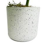 30cm Artificial Green Potted Monstera Garland