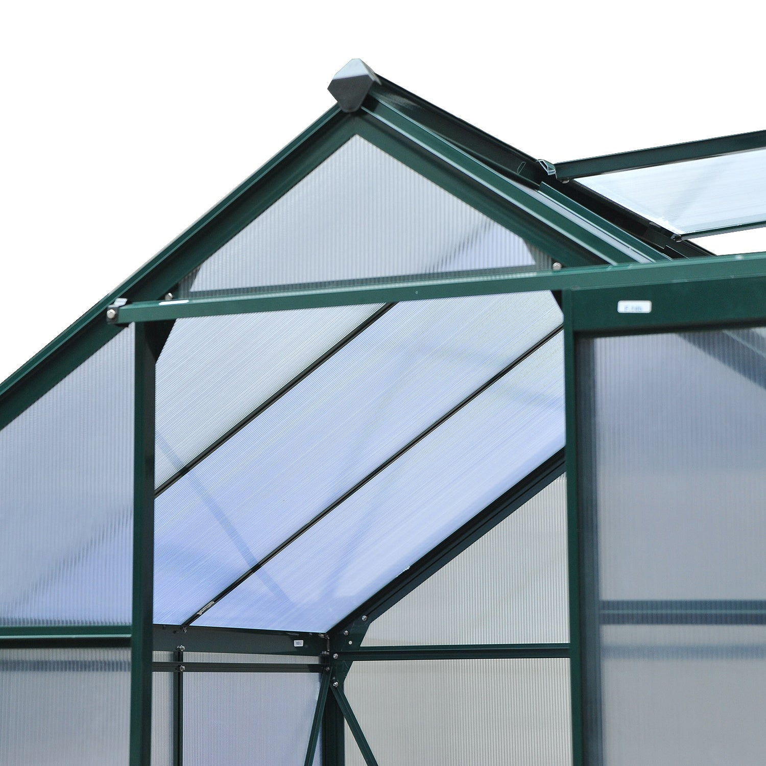 Polycarbonate Walk-in Greenhouse 6x6ft | Dark Green
