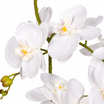 65cm  Design Uk Realistic Artificial Orchid Flower Display In Pot