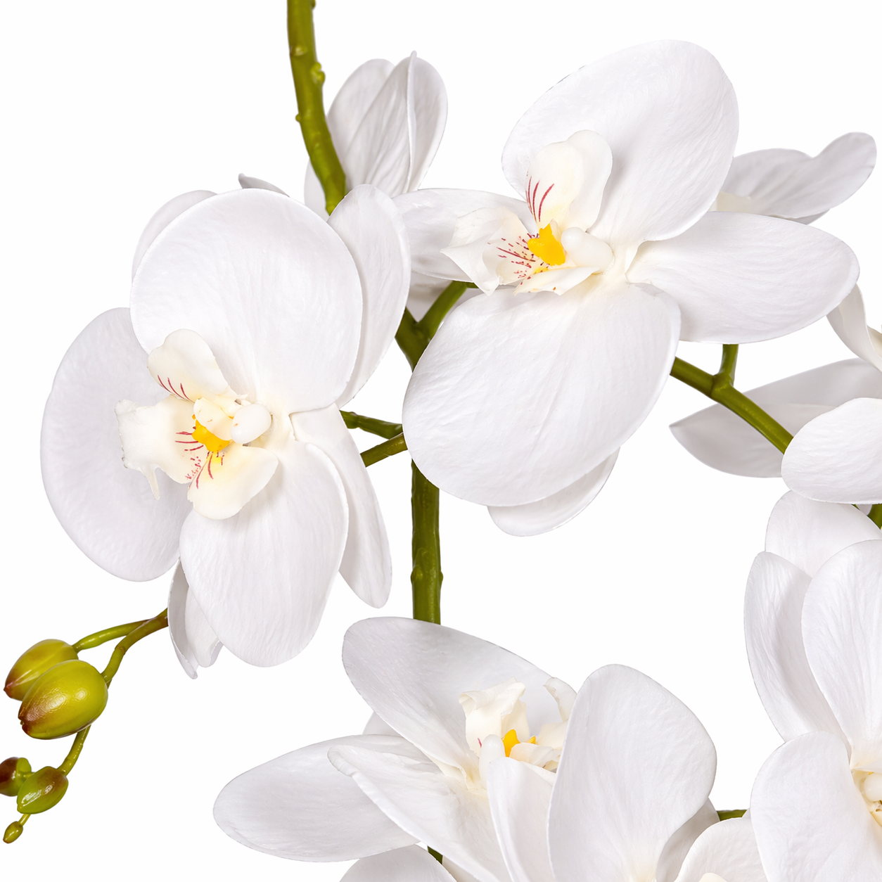 65cm  Design Uk Realistic Artificial Orchid Flower Display In Pot