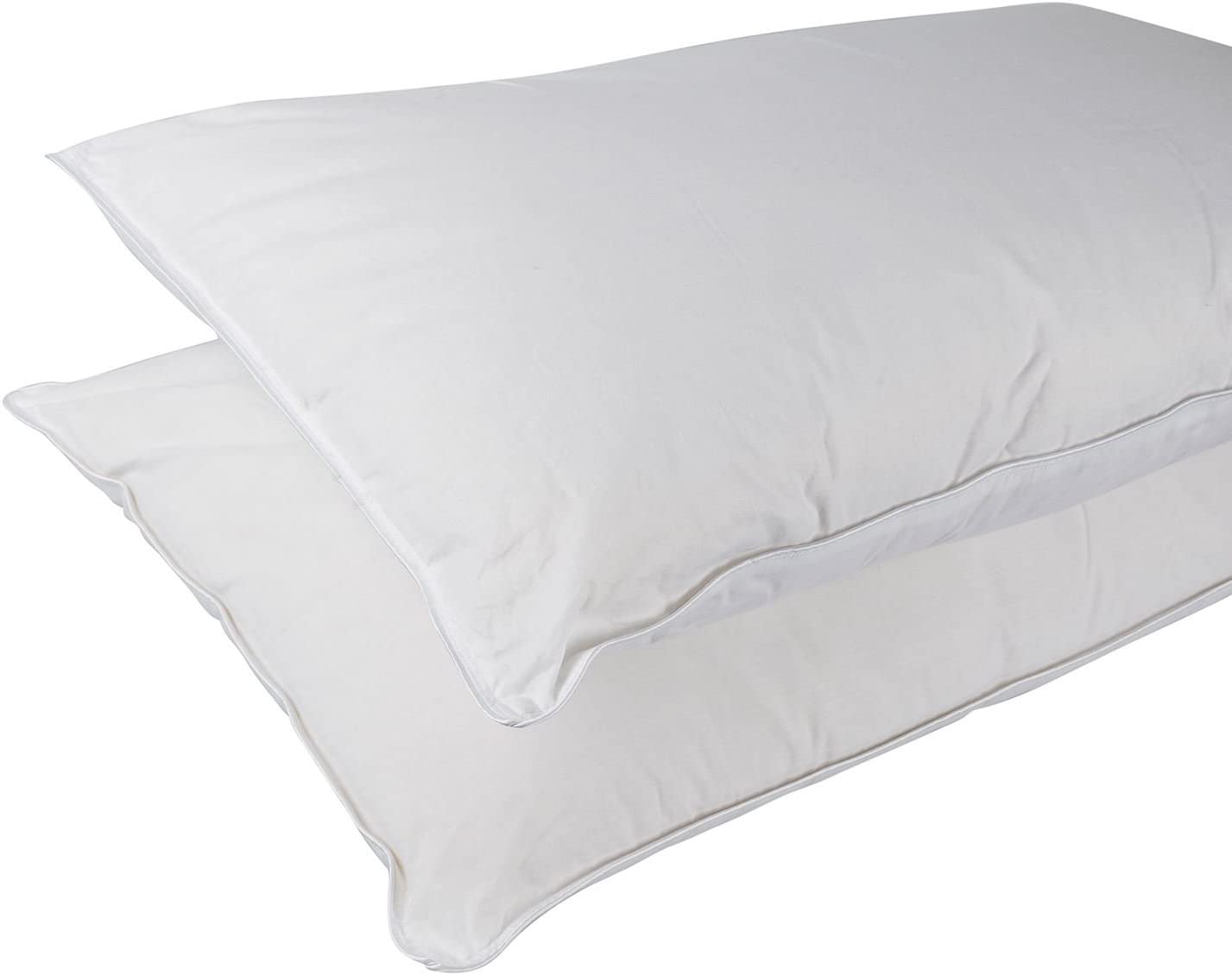 Pure Mulberry Silk Blend Pillow Pair With 100% Cotton Casing
