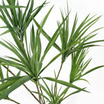 125cm Dragon Tree Dracaena Plant Natural Look Artificial
