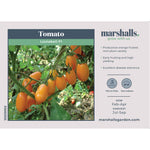 Tomato 'lizziebell' Seeds | 8 Seeds