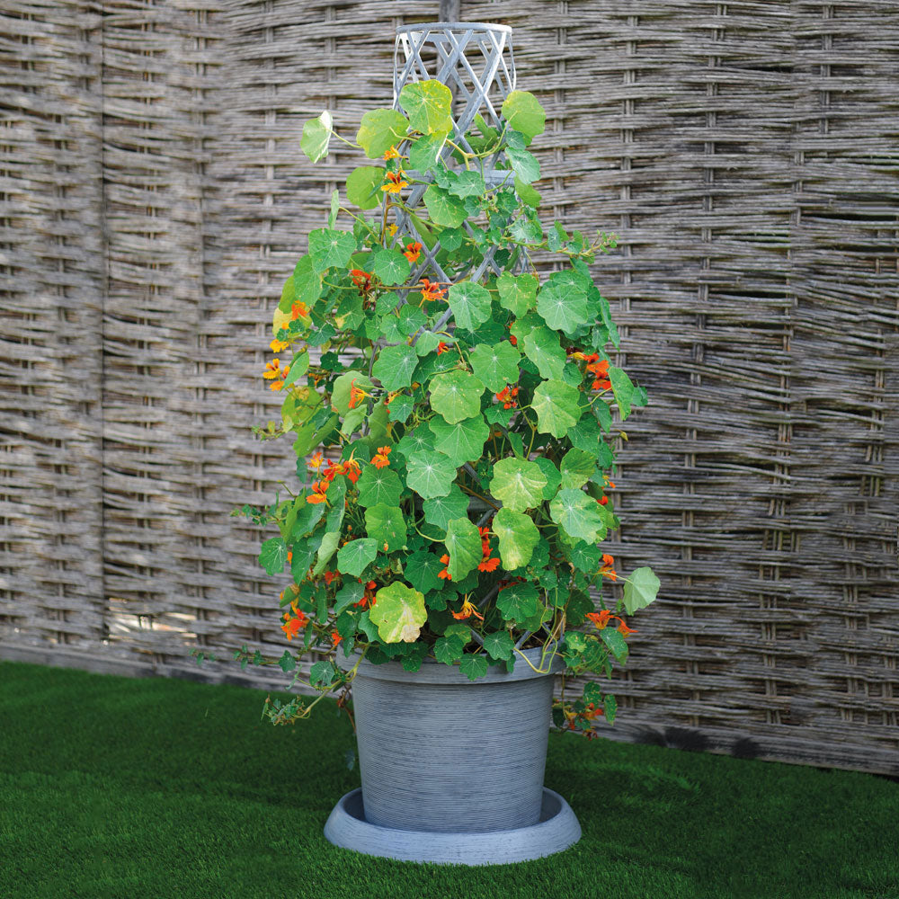 Tower Pot Modern Grey | Set-of-1 | Grey