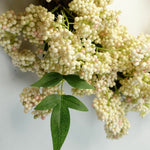 55cm Artificial Hanging White Berries Wreath