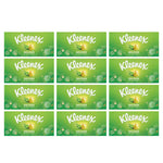 Facial Tissues X12 Boxes Of Balsam With Aloe Vera
