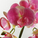 70cm Artificial Orchid Light Pink With Silver Ceramic Planter
