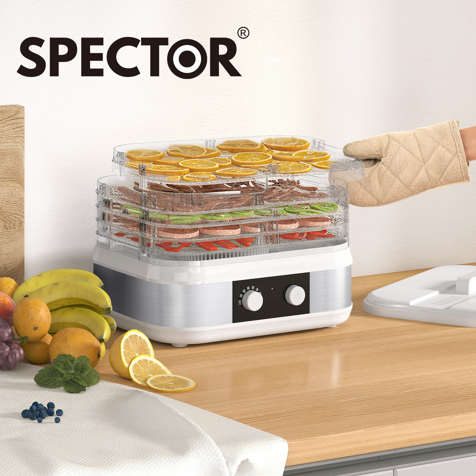 Spector 5 Tray Stainless Steel Food Dehydrator Jerky Fruit Vegetable Dryer White