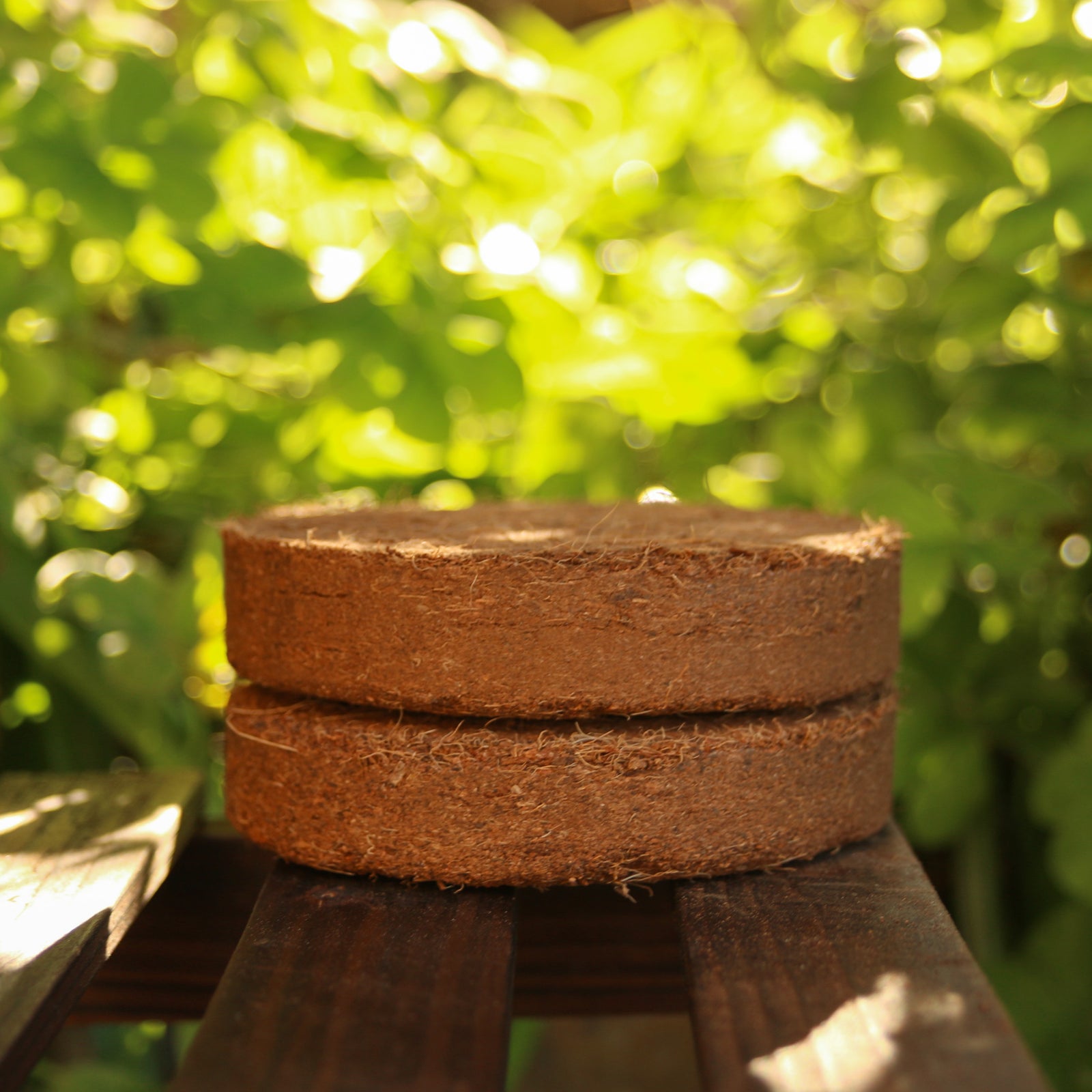 Discs 10cm Pack Of 10