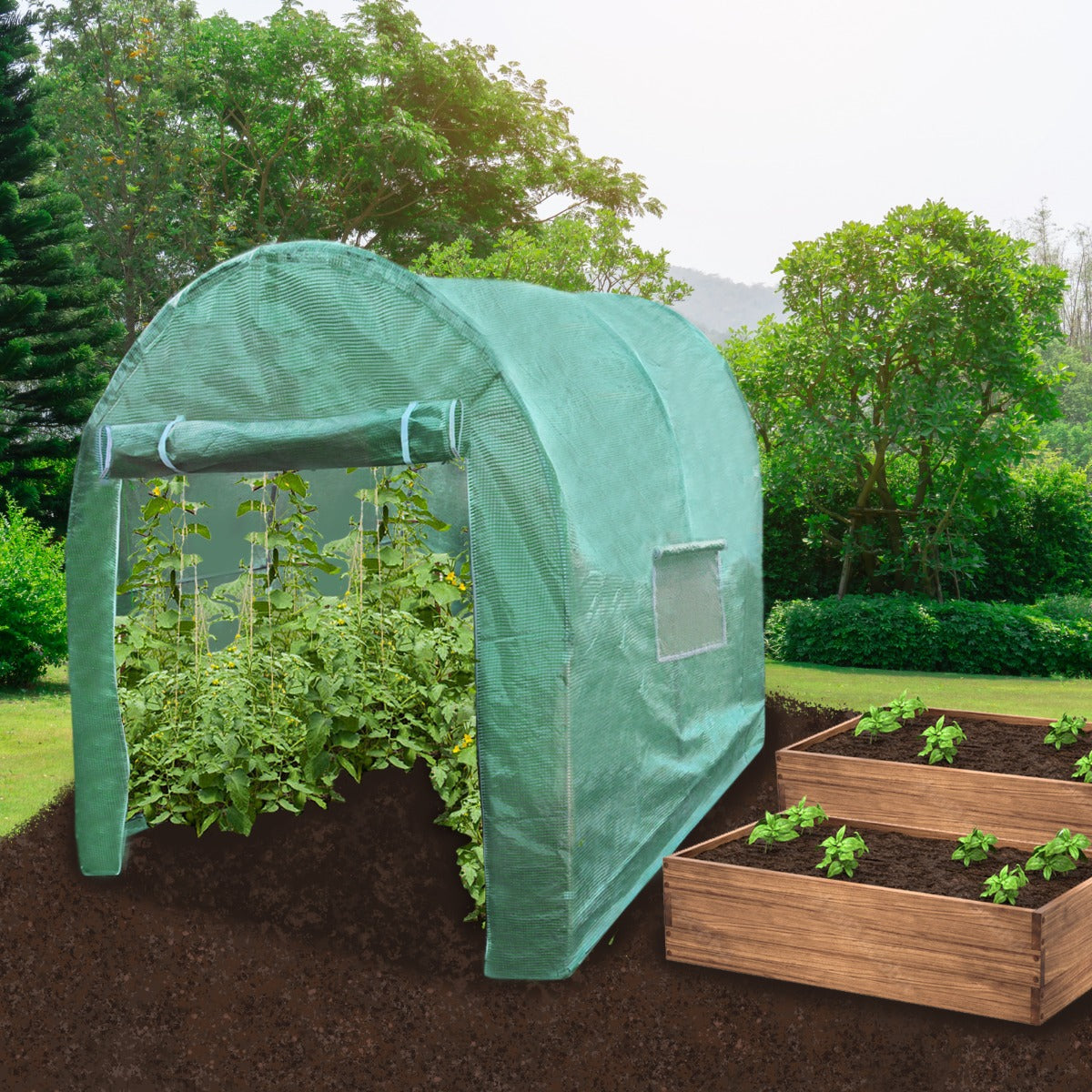 Polytunnel | 19mm 3m x 2m | Green
