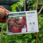 Tomato Chocolate Cherry Seeds | 10 Seeds