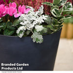 Stone Effect Dark Grey 30.5cm Planter | Set of 2 | Dark Grey