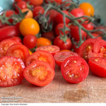 Thompson & Morgan Tomato Meltaway F1 9cm Pot X 3 Plants