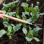 Stainless Steel 3-prong Border Hand Cultivator