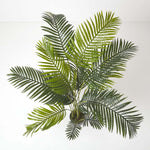 Areca Palm Tree In Pot | 160cm | Green