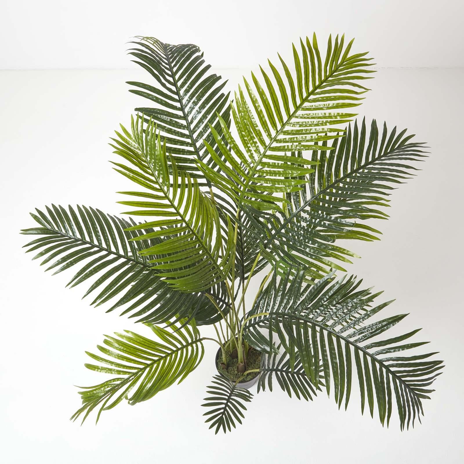 Areca Palm Tree In Pot | 160cm | Green