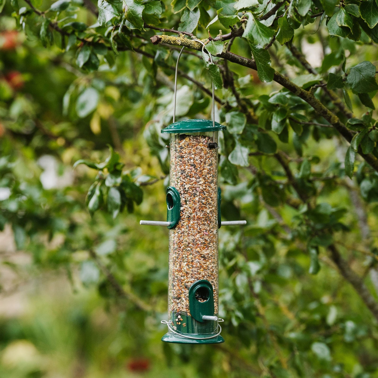 All-weather Seed Feeder, Hanging Stainless Steel Tube 30 Cm | Green