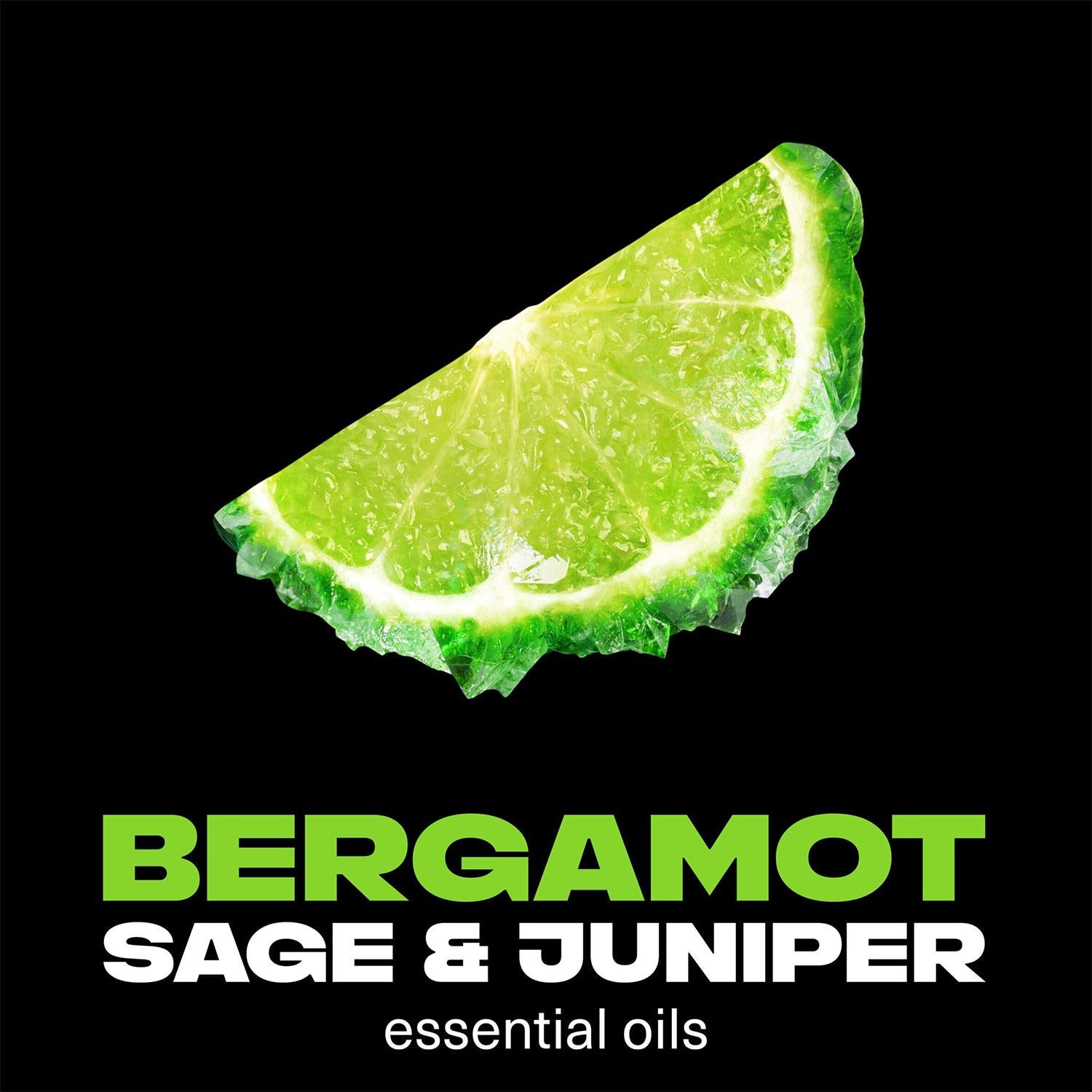 Lynx Fine Fragrance Collection Aqua Bergamot Deodorant Body Spray 150ml, 6 Pack