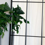 Tomi - Metal Arched Lattice Window Mirror | 200cm x 120cm | Black
