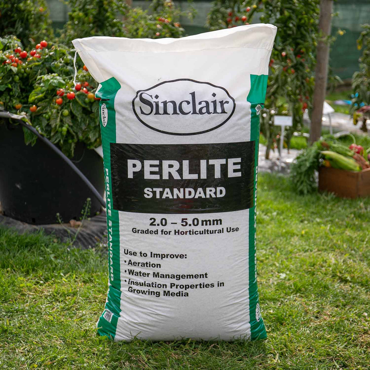Perlite Horticultural Grade 100l Bag | Set of 1