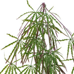 Pack Of 12 X 100cm Artificial Hanging Acer Spider Plant
