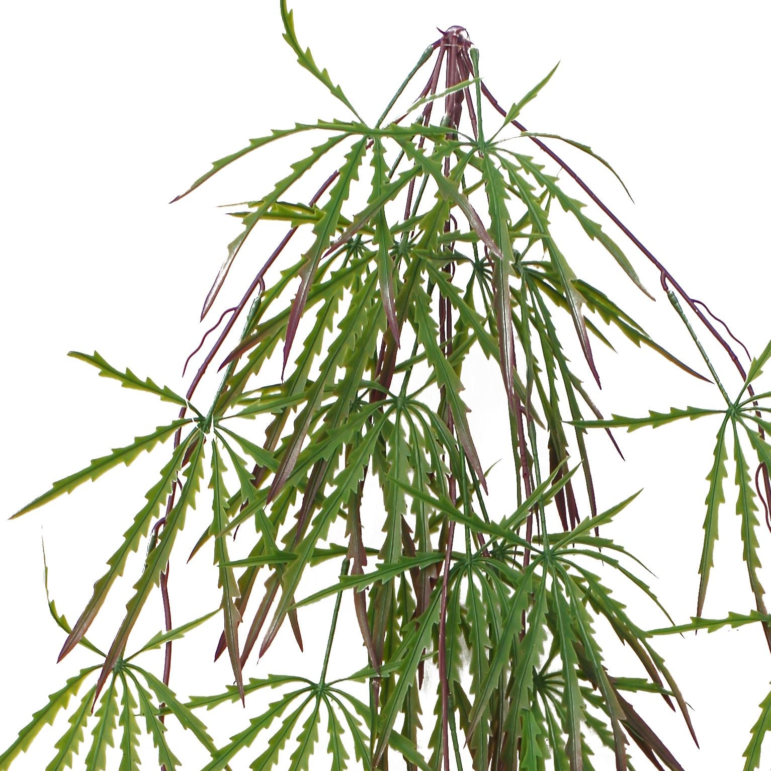 Pack Of 12 X 100cm Artificial Hanging Acer Spider Plant