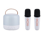 Portable Wireless Rgb Light Karaoke Speaker With 2 Microphones | White