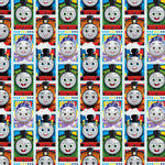 2 Sheets & 2 Tags Wrapping Paper