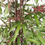 Artificial 180cm Bamboo 1140 Red Green Silk Leaves