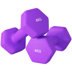 4kg Set Of 2 Dumbbells Hexagonal Weights Pair | Purple