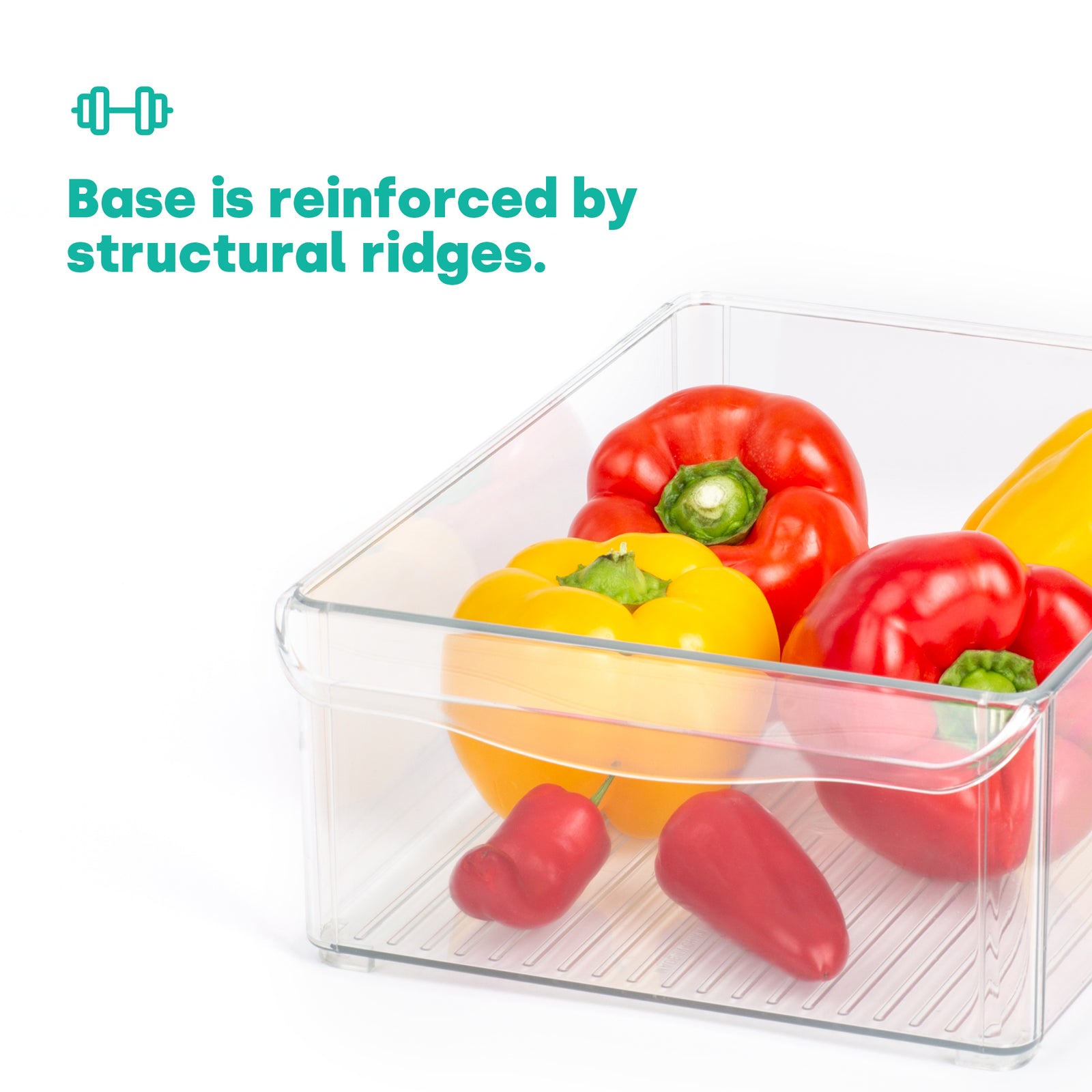 Fridge Storage Container - L
