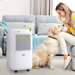 10l Per Day 2.2l Wifi Smart Air Dehumidifier Portable Quiet